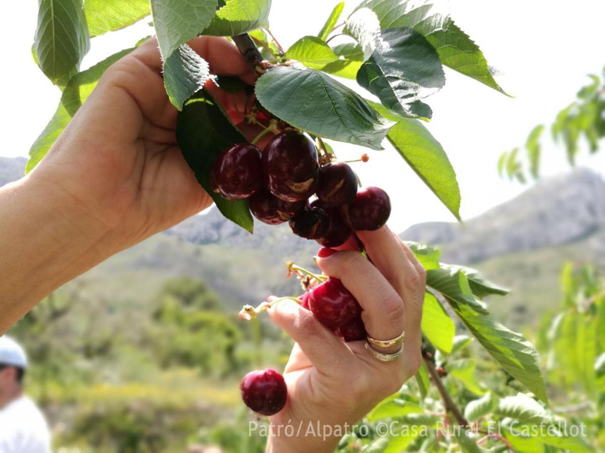 Buhardilla Rustica En La Vall De Gallinera Aparthotel Patró Buitenkant foto